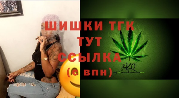apvp Аркадак