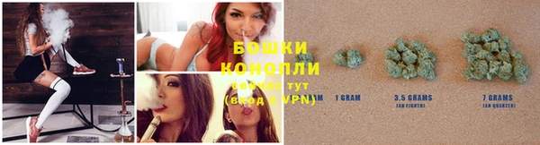 apvp Аркадак