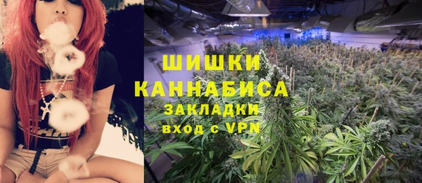 apvp Аркадак