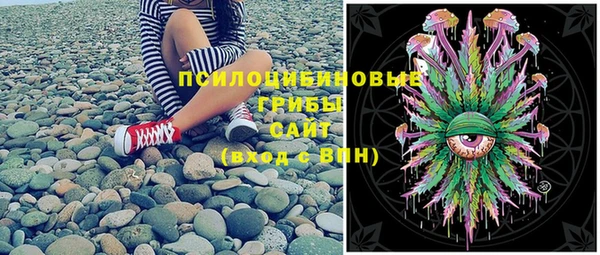 apvp Аркадак