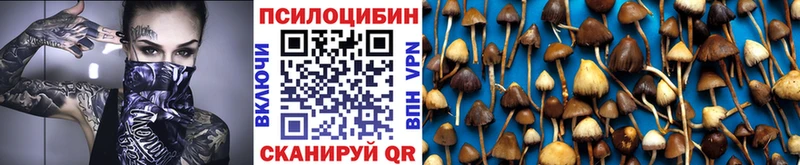 цена наркотик Удачный Галлюциногенные грибы Psilocybine cubensis